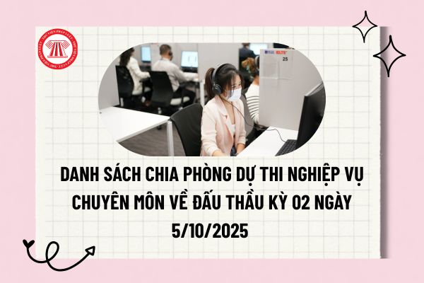 Pháp luật