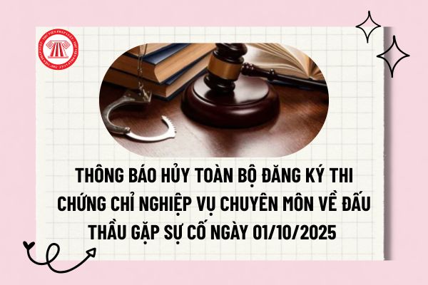 Pháp luật