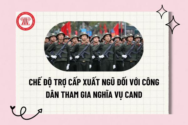 Pháp luật