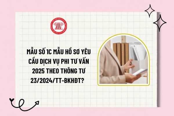 Mẫu số 1C mẫu hồ sơ yêu cầu dịch vụ phi tư vấn 2025 theo Thông tư 23/2024/TT-BKHĐT? Tải về mẫu số 1C?