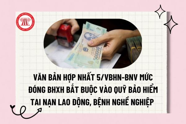 Pháp luật