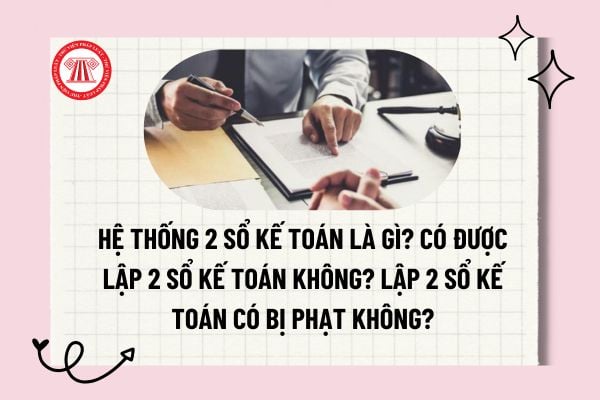 Pháp luật