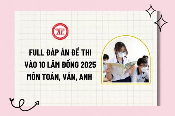 Pháp luật
