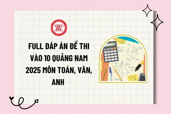 Pháp luật