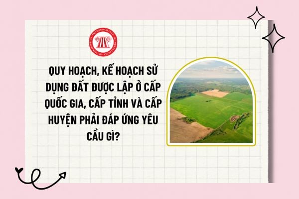 Quy hoạch, kế hoạch sử dụng đất được lập ở cấp quốc gia, cấp tỉnh và cấp huyện phải đáp ứng yêu cầu gì?