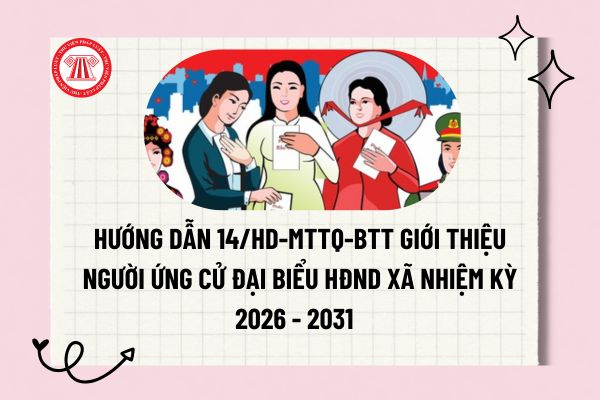 Pháp luật
