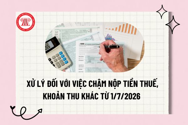 Pháp luật
