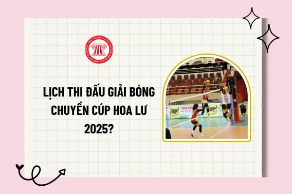 Lịch thi đấu giải bóng chuyền Cúp Hoa Lư 2025? Lịch thi đấu bóng chuyền nữ Cúp Hoa Lư năm 2025?