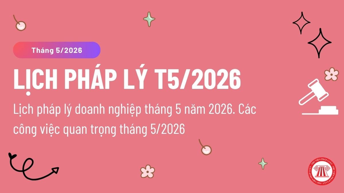 Pháp luật