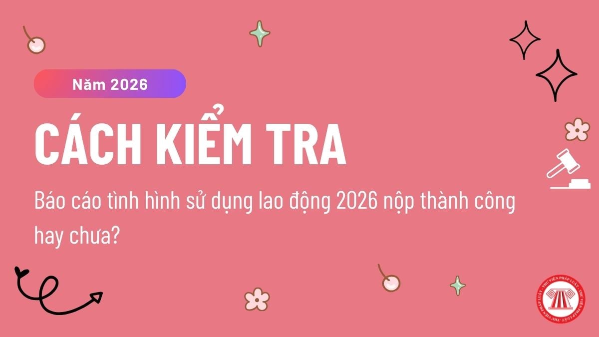 Pháp luật