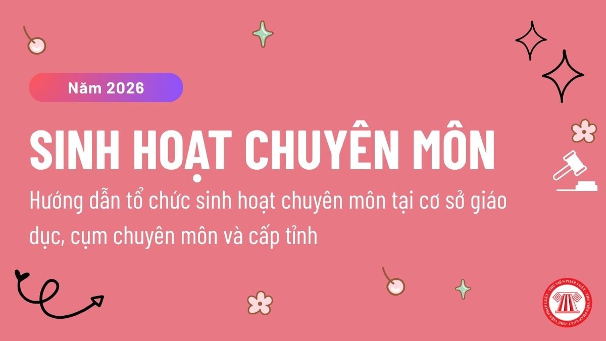 Pháp luật