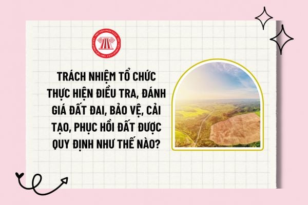 Trách nhiệm tổ chức thực hiện điều tra, đánh giá đất đai, bảo vệ, cải tạo, phục hồi đất được quy định như thế nào?