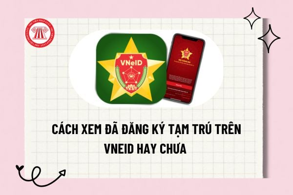 Pháp luật