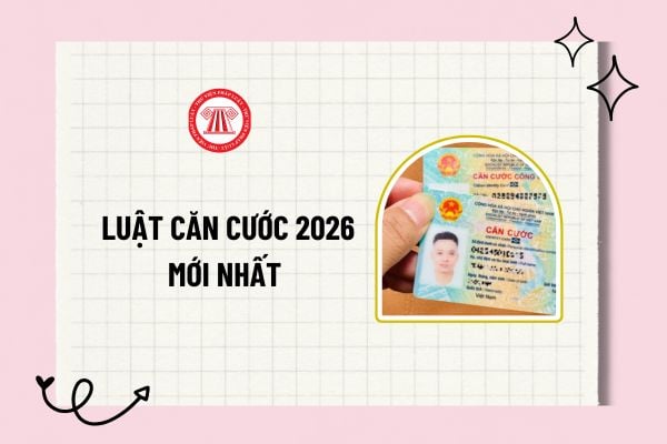 Pháp luật