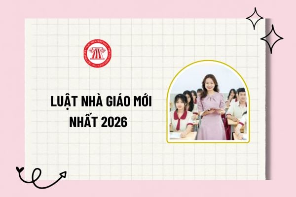 Pháp luật