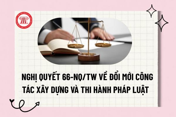 Pháp luật