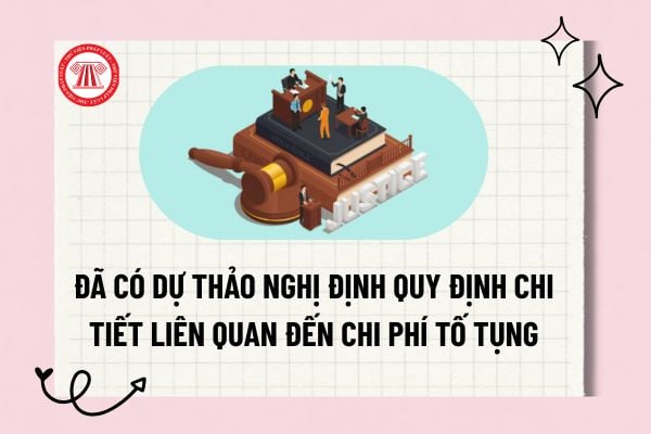 Pháp luật