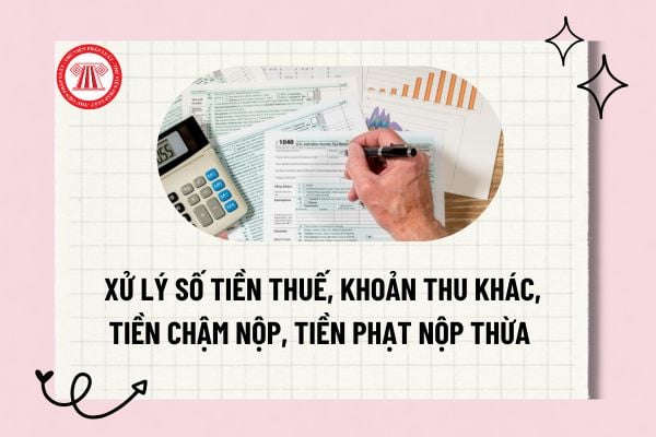 Pháp luật