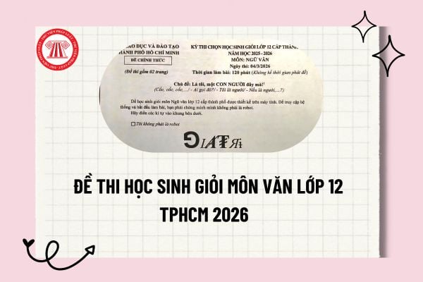 Pháp luật