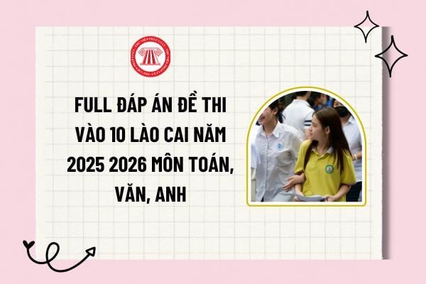 Pháp luật