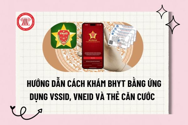 Pháp luật