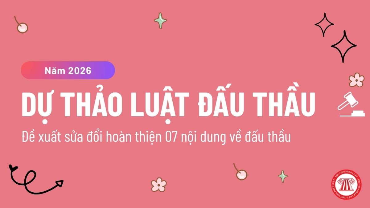 Pháp luật