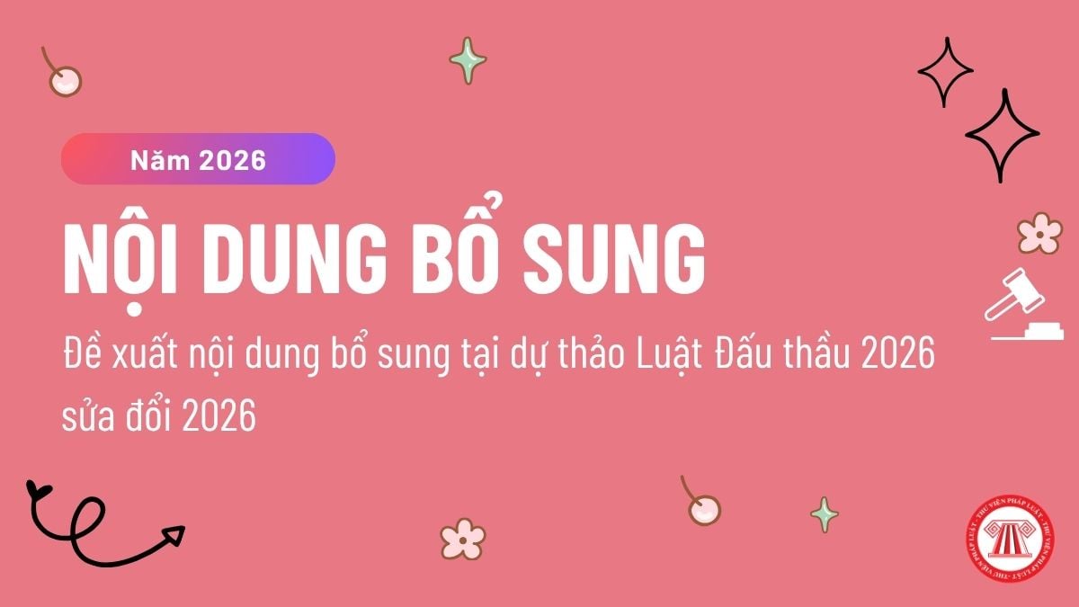 Pháp luật