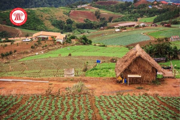 Ủy thác quản lý Quỹ phát triển đất cho Quỹ đầu tư phát triển địa phương do ai có thẩm quyền quyết định?