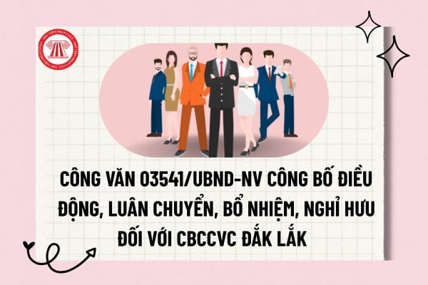 Pháp luật