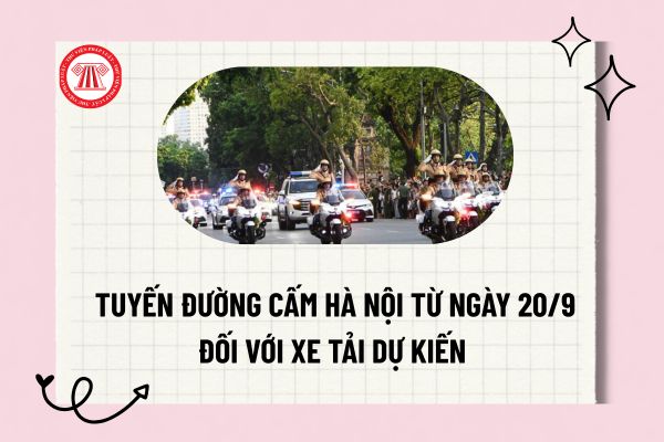 Pháp luật