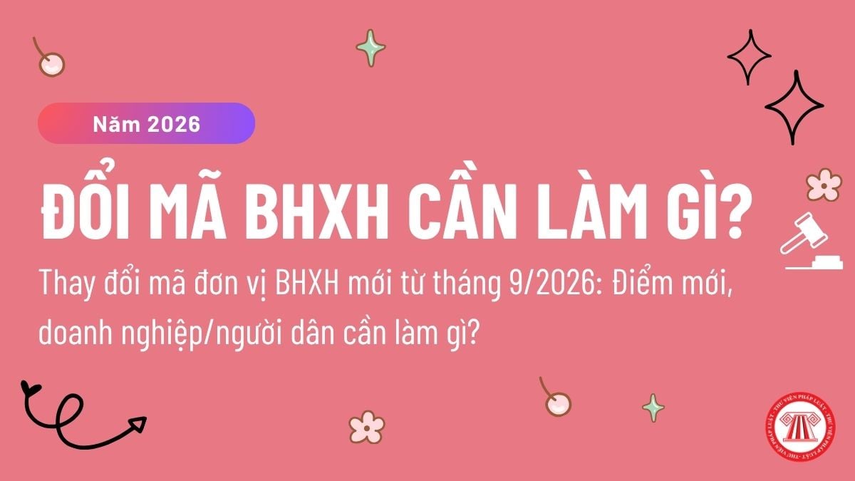 Pháp luật