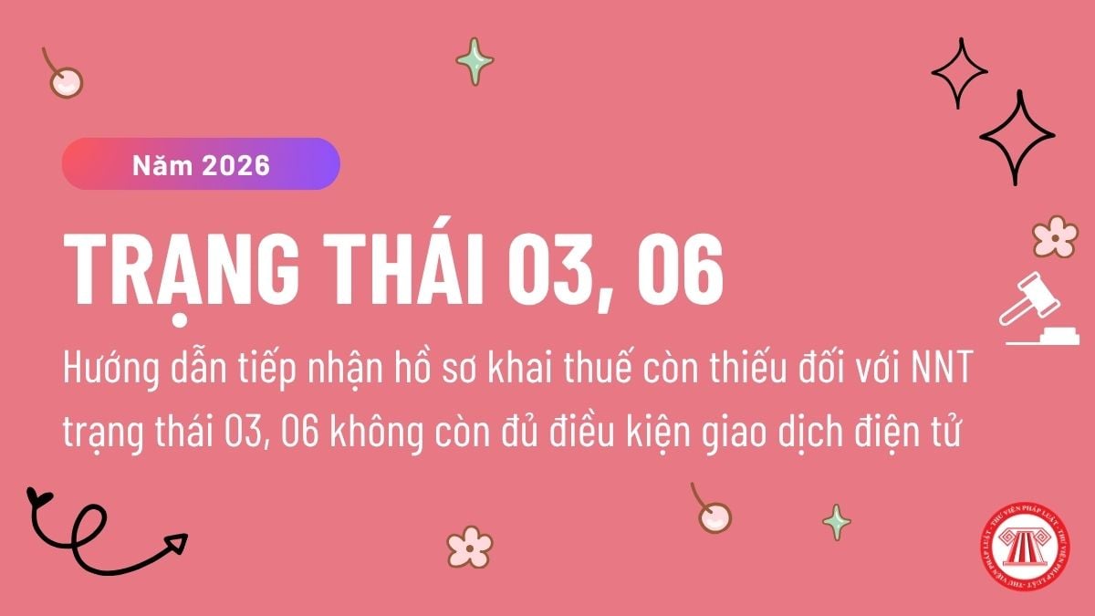 Pháp luật