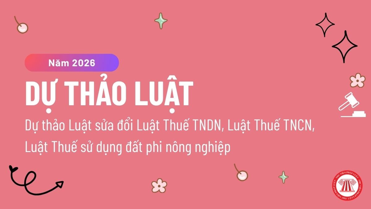 Pháp luật