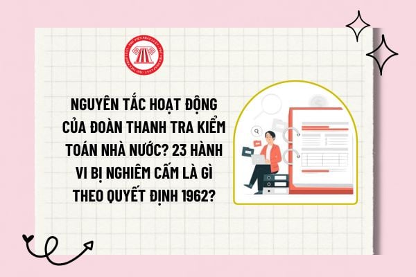 Nguyên tắc hoạt động của Đoàn thanh tra Kiểm toán Nhà nước? 23 hành vi bị nghiêm cấm là gì theo Quyết định 1962?