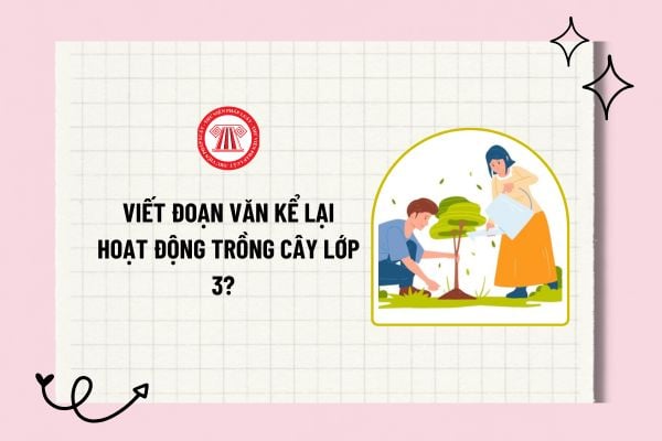 Viết đoạn văn kể lại hoạt động trồng cây lớp 3? Mẫu đoạn văn kể lại hoạt động trồng cây lớp 3 hay ngắn gọn?