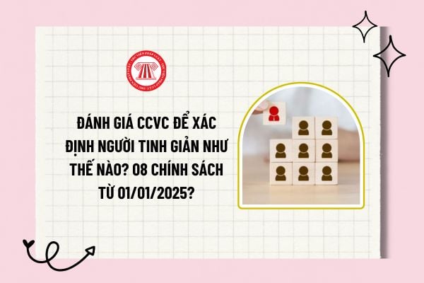 Đánh giá CCVC để xác định người tinh giản như thế nào? 08 chính sách CCVC tinh giản biên chế được hưởng từ 01/01/2025?