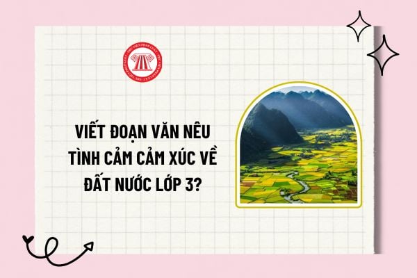 Viết đoạn văn nêu tình cảm, cảm xúc về đất nước lớp 3? Nêu cảm nghĩ của em về cảnh đẹp của đất nước Việt Nam?