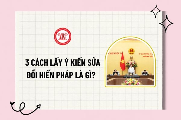 Pháp luật