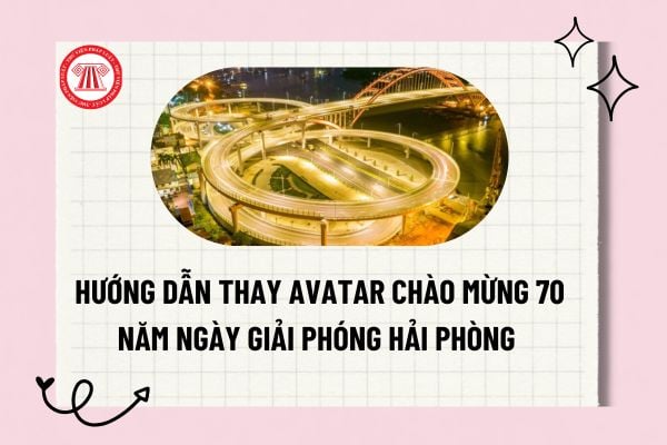 Pháp luật