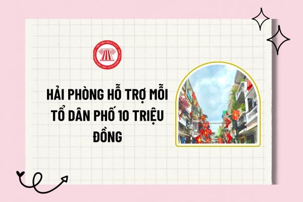 Pháp luật