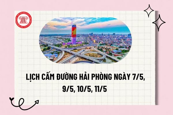 Pháp luật