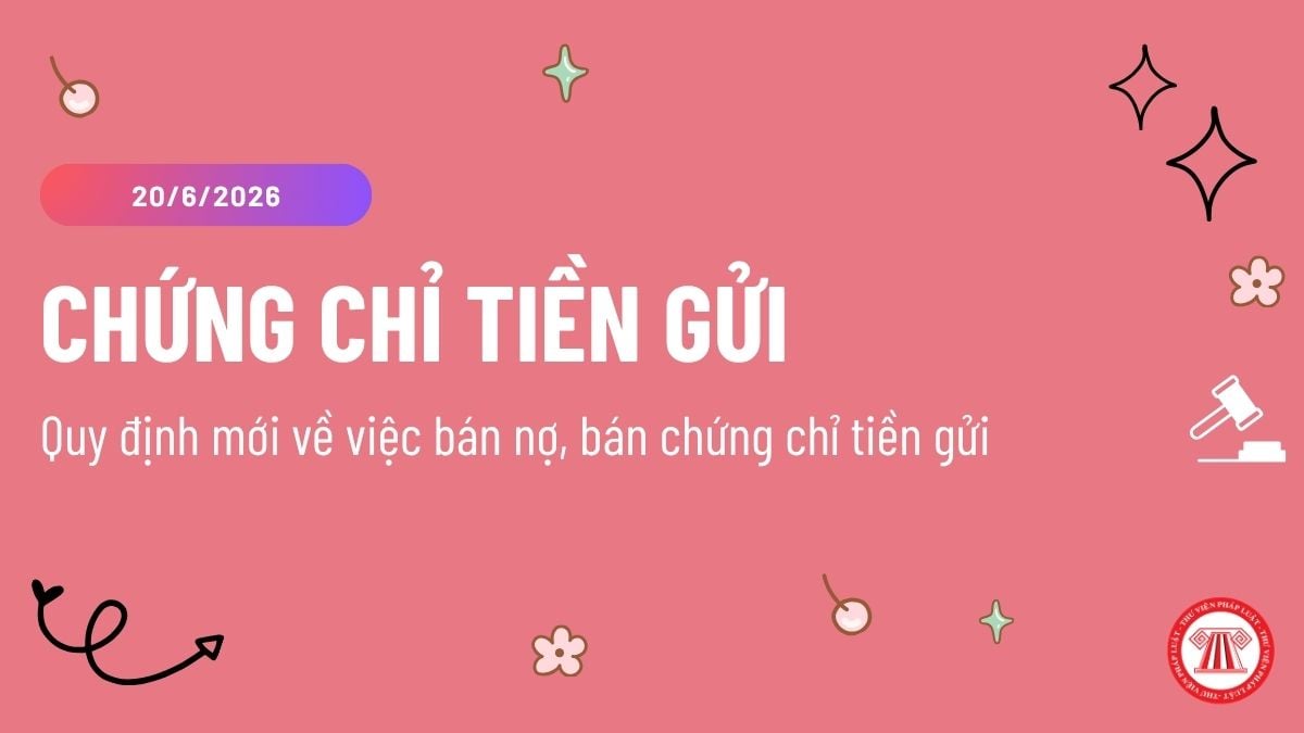 Pháp luật