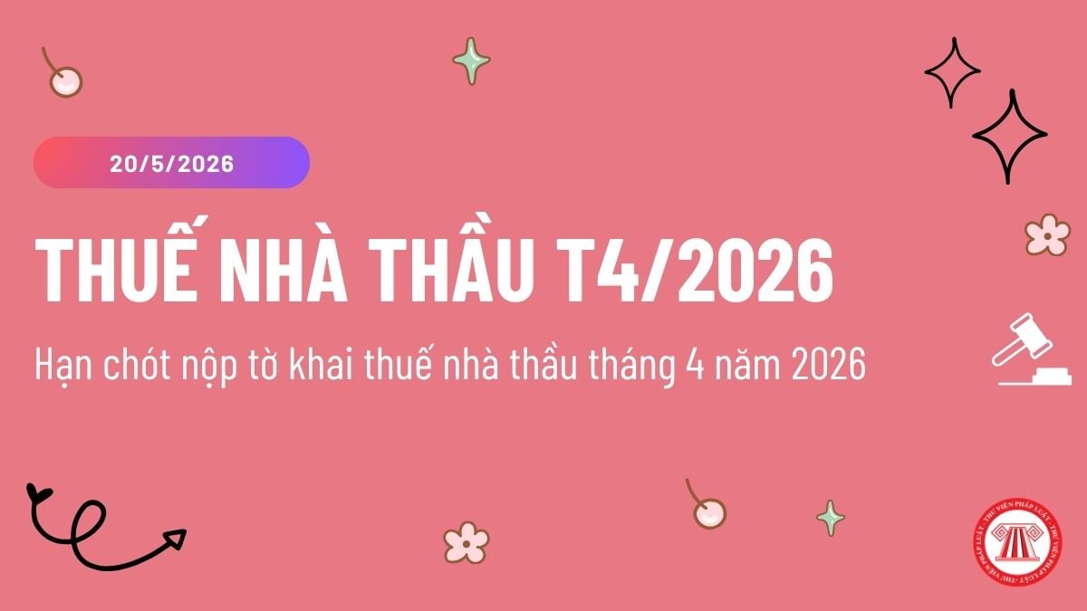 Pháp luật