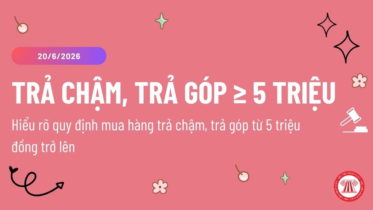 Pháp luật