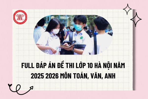 Pháp luật