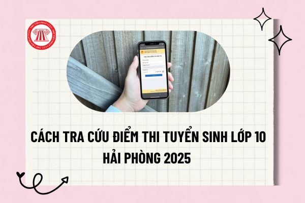 Pháp luật