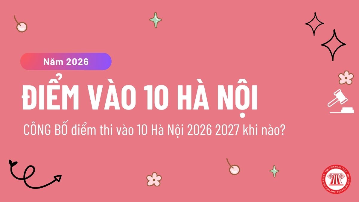 Pháp luật