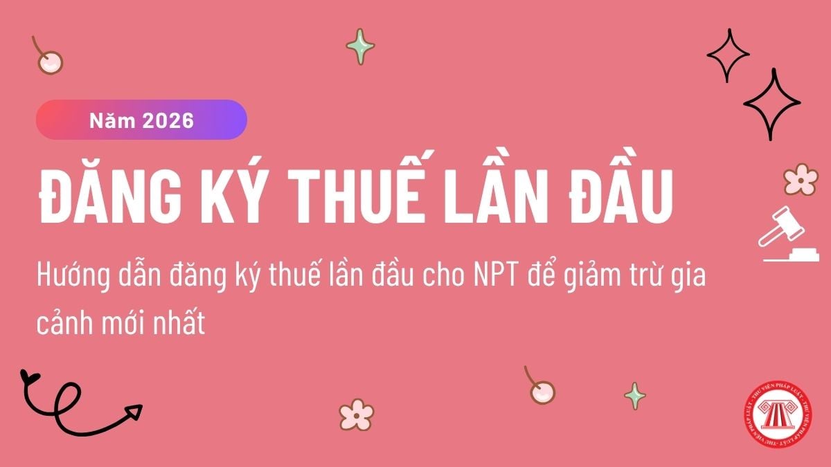 Pháp luật