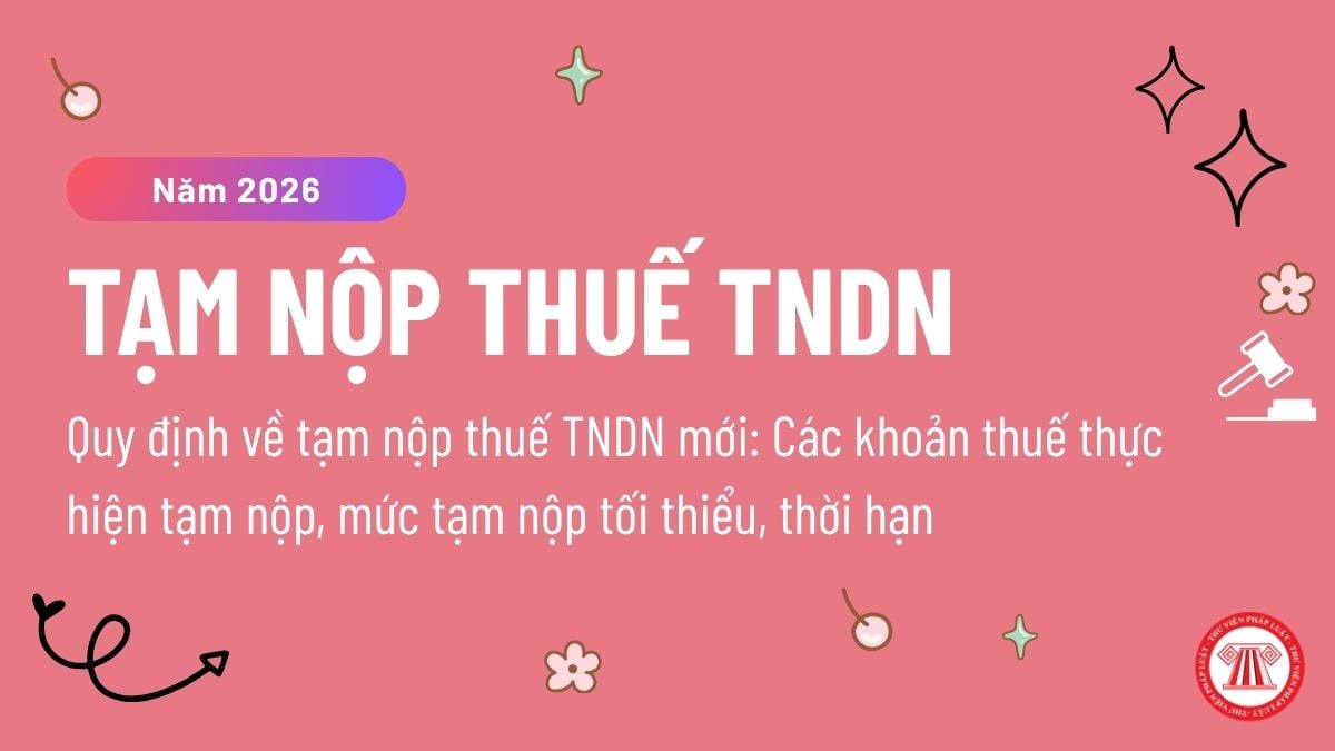 Pháp luật