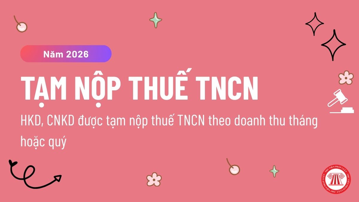 Pháp luật
